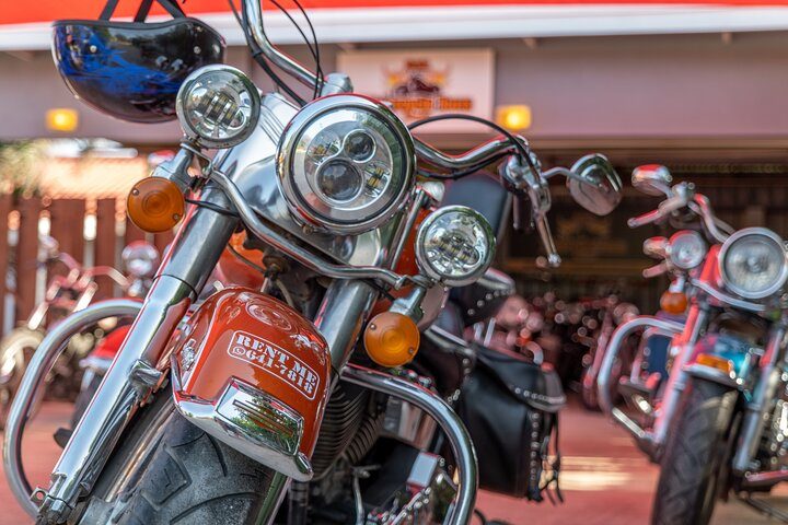 Harley-Davidson RENTALS ONLY 8 hrs, photo 2 of 6