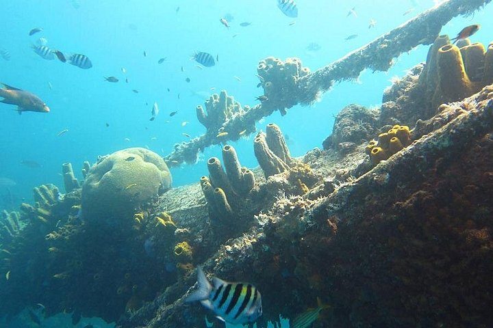 Antilla Shipwreck Seabob Tour, photo 5 of 10