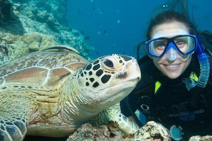 Aruba One or Two Tank Scuba Dive, photo 7 of 10
