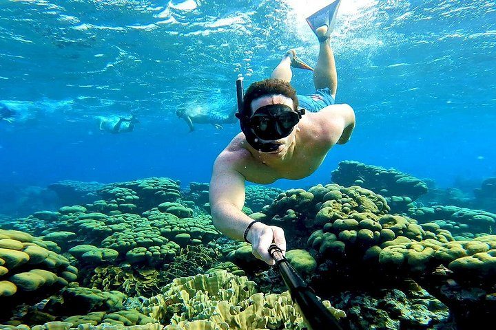 Tropical Sailing Experience with BBQ Lunch or BBQ Dinner in Aruba, photo 2 of 6