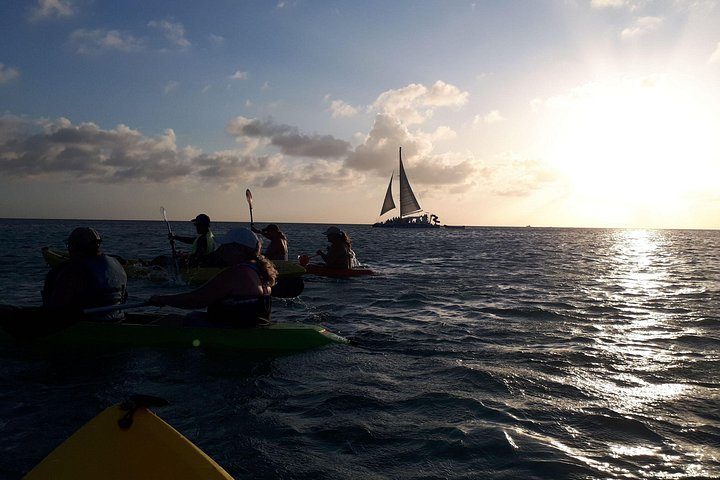 Aruba Night Glass Kayak Tour, photo 5 of 8