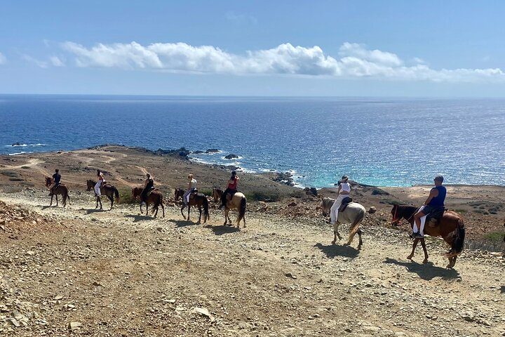 Horseback Ride Tour to Natural Pool in Arikok National Park, photo 4 of 10