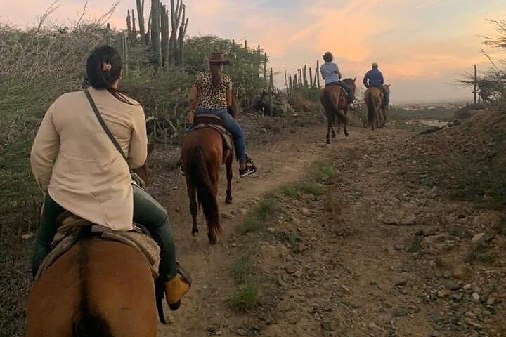 Horseback Riding Wariruri Beach Tour in Aruba, photo 4 of 10