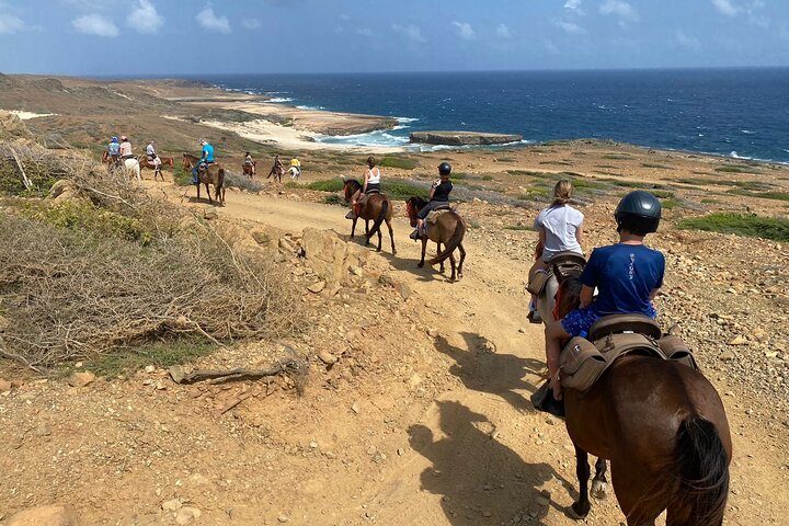 Horseback Ride Tour to Natural Pool in Arikok National Park, photo 8 of 10