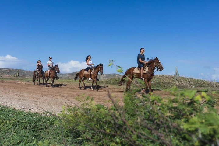 Horseback Riding Wariruri Beach Tour in Aruba, photo 5 of 10