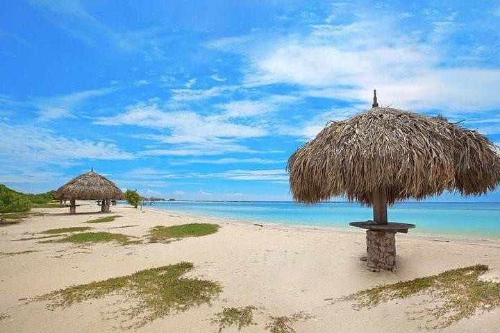 Aruba Jeep Tour: Natural Pool, Caves and Baby Beach Adventure, photo 4 of 10