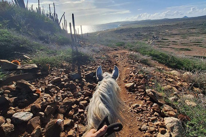 Sunset Horseback Ride in Aruba, photo 4 of 10