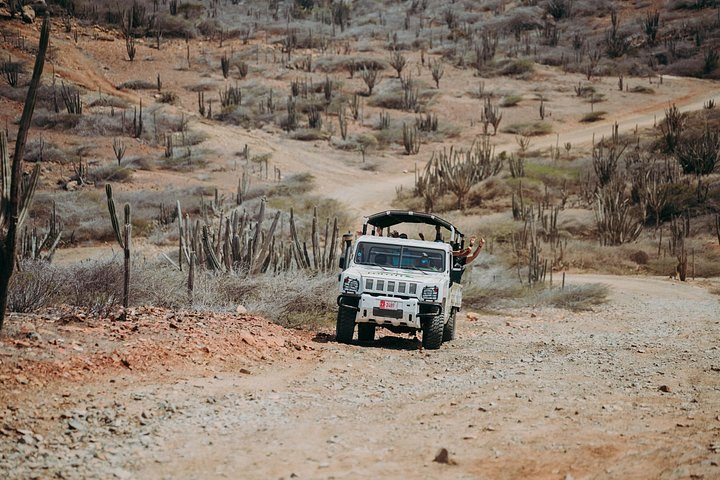 Aruba Signature Jeep Tour: Natural Pool and Baby Beach, photo 5 of 10