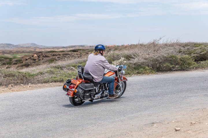 Harley-Davidson RENTALS ONLY 8 hrs, photo 3 of 6
