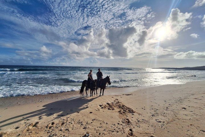 Aruba Countryside: Horseback Adventure to Urirama Cove, photo 4 of 10