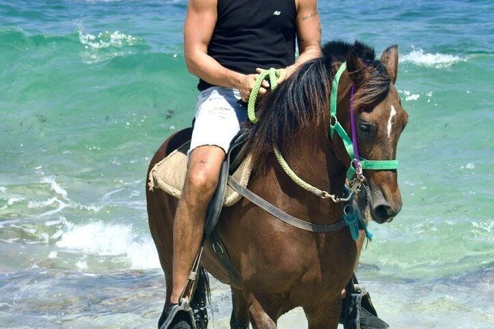 Horseback Riding and Natural Pool Adventure in Aruba, photo 2 of 10