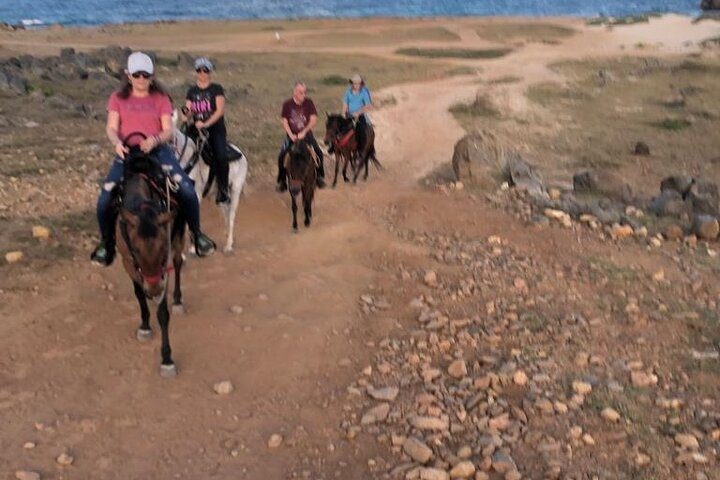 2-Hour Horseback Riding Tour to Little Natural Bridge in Aruba, photo 5 of 10