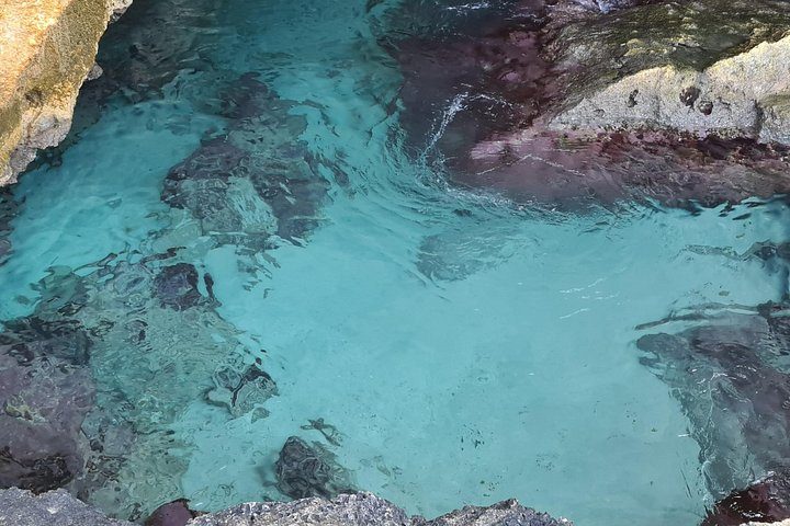 Aruba UTV Adventure: Animal Garden, North Coast & Andicuri Beach, photo 10 of 10