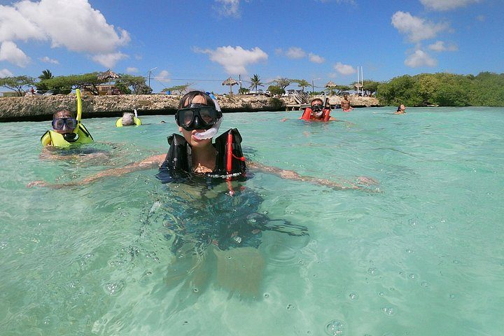 Small Group Snorkeling at Mangel Halto Aruba, photo 2 of 10