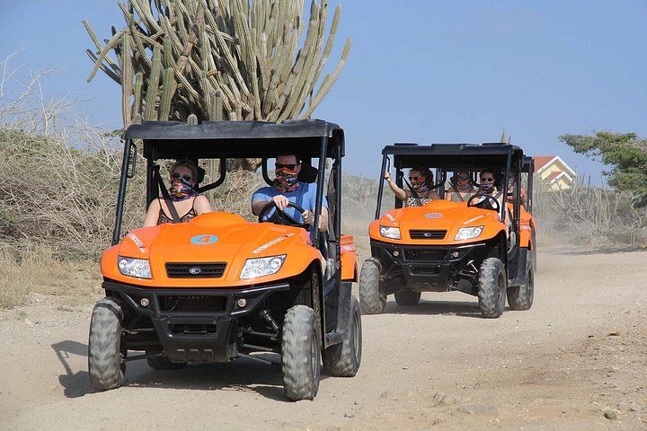 Aruba UTV Adventure: Animal Garden, North Coast & Andicuri Beach, photo 2 of 10