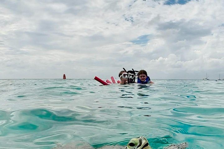 Aruba Turtle Snorkeling Private Tour with Underwater Footage, photo 6 of 10