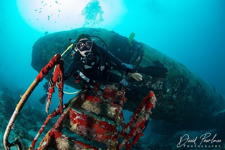 Aruba One or Two Tank Scuba Dive, photo 8 of 10