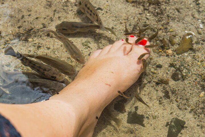 Aruba Arikok National Park Jeep Safari: Natural Pool & Baby Beach, photo 6 of 10