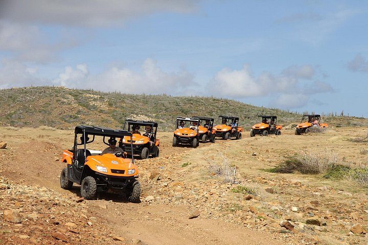 Aruba UTV Adventure: Animal Garden, North Coast & Andicuri Beach, photo 9 of 10