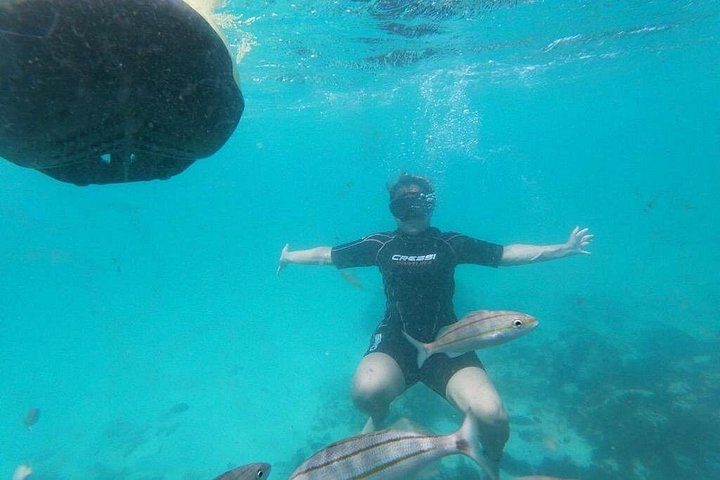 Antilla Shipwreck Seabob Tour, photo 4 of 10