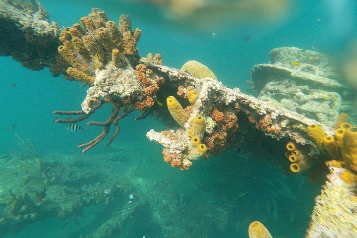 Antilla Shipwreck Seabob Tour, photo 10 of 10