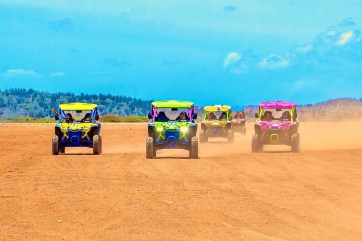 Aruba UTV Off-Road Driving Experience North Coast Stops, photo 3 of 10