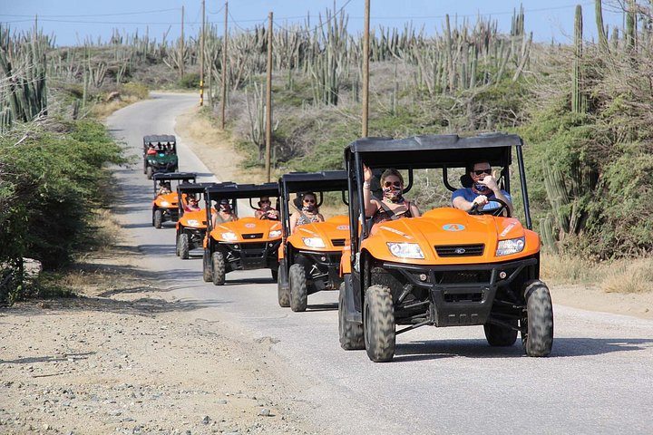 Aruba UTV Adventure: Animal Garden, North Coast & Andicuri Beach, photo 5 of 10