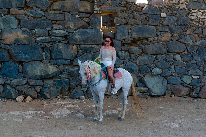 Horseback Riding and Natural Pool Adventure in Aruba, photo 4 of 10