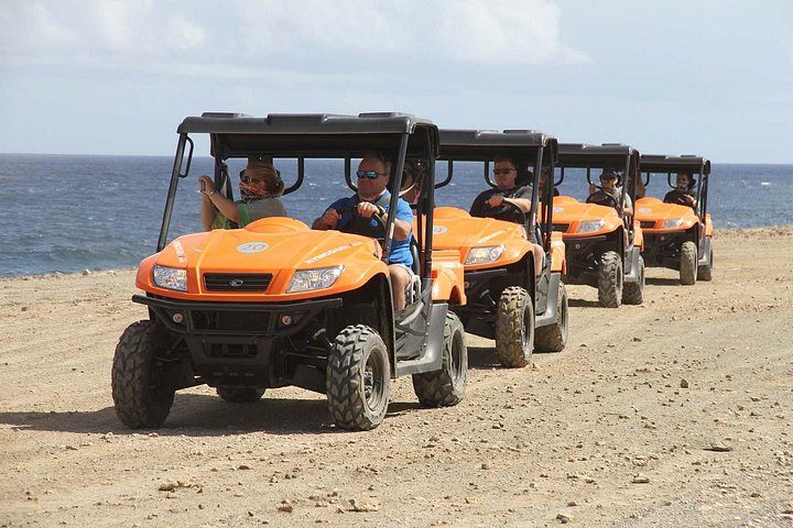 Aruba UTV Adventure: Animal Garden, North Coast & Andicuri Beach, photo 8 of 10