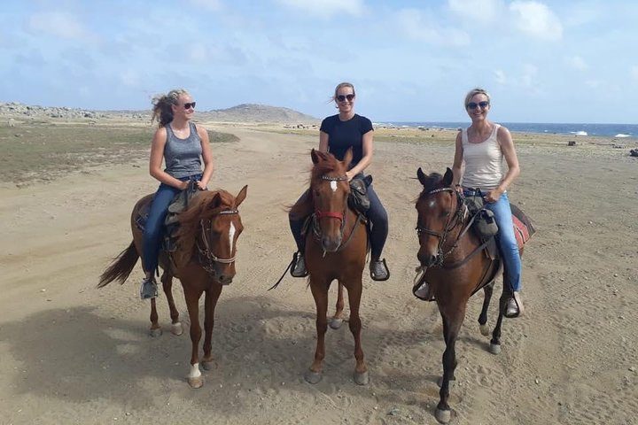 Aruba Horseback Riding Tour For Advanced Riders, photo 2 of 10