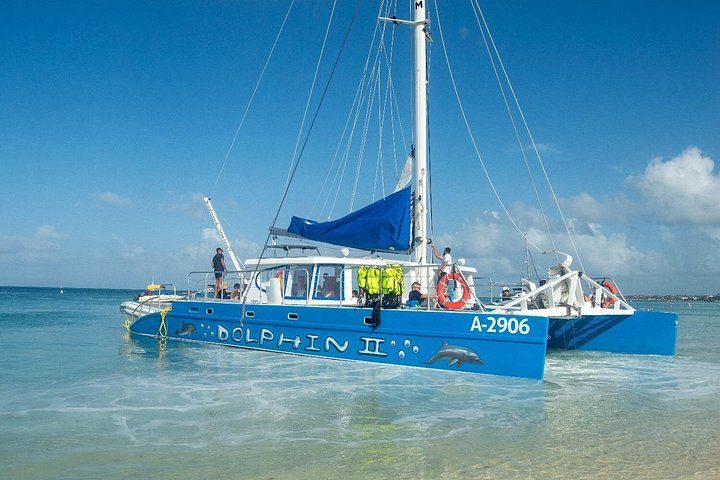 Dolphin Catamaran Snorkel and Sail with Open Bar, photo 8 of 10