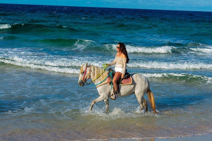 Authentic Aruba Morning Horseback Riding Tour, photo 2 of 10